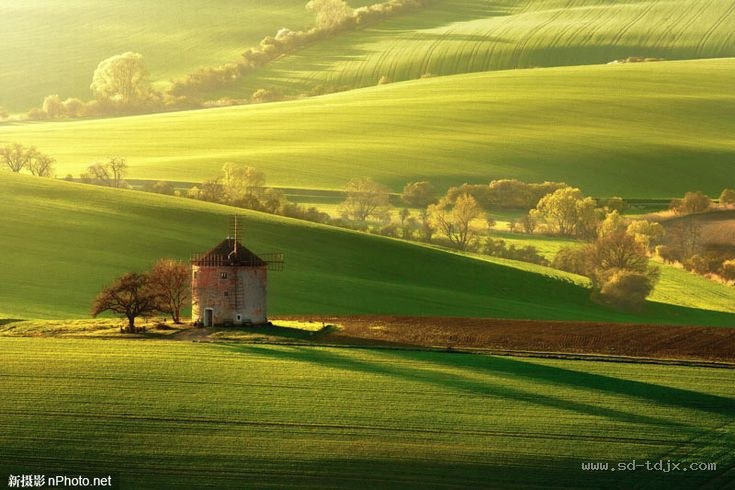 纹理